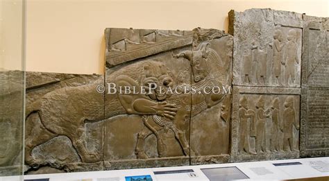 Relief Of Delegate Procession And Lion Attacking Bull From Palace Of