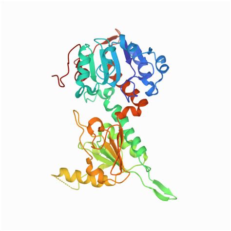 Response of rhodospirillum rubrum s1h to three pharmaceuticals. RCSB PDB - 1XLT: Crystal structure of Transhydrogenase ...
