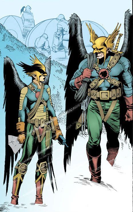 Hawkman And Hawkgirl By Rags Morales Dc Comics Superheroes Dc Comics