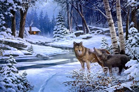 Two Wolves At Night In The Winter Forest Desktop Wallpapers
