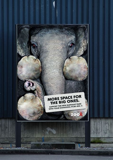 30 Shocking Animal Ad Campaigns That Will Make You Rethink Your