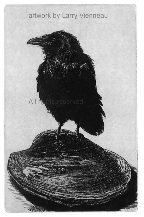 Raven Artwork Raven Crow Etching In Assorted Par Ravenstamps The Crow