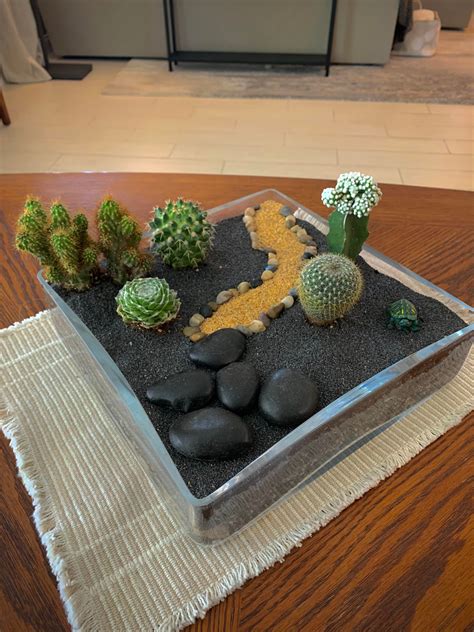 Cactus Terrarium I Made The Other Day Been A While Since I Put Once