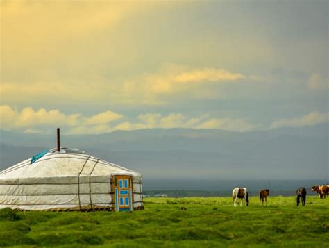 Монголын их амар амгалан ~ ZALUU.COM: Үндэсний тэргүүлэгч сайт