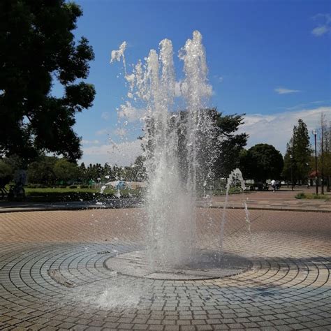 【大師公園】噴水やじゃぶじゃぶ池で水遊びができる夏におすすめの公園 Chiliblog