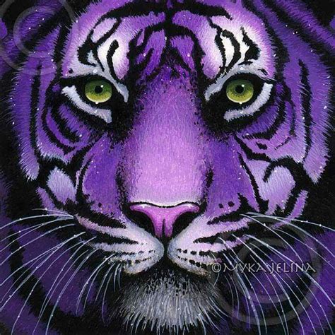 13 Best Its A Purple Tiger Thing Images On Pinterest Big Cats
