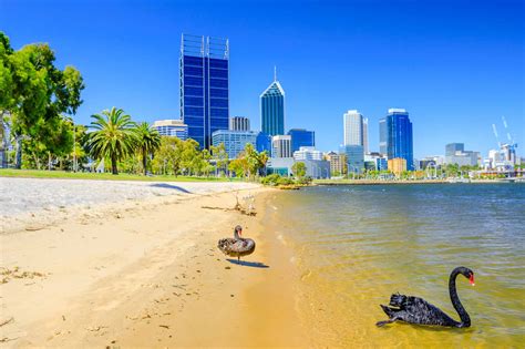 3 Free Things To Do Inperth Fred Holidays