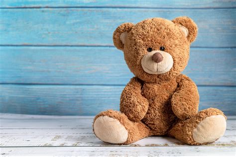 a short history of the teddy bear bearloonsg