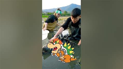 Giant Spiked Turtle Discovered In North Korea Bowser Shorts Youtube