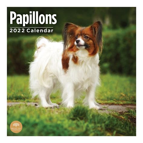 Buy 2022 Papillons Wall Calendar By Bright Day 12 X 12 Inch Cute Dog
