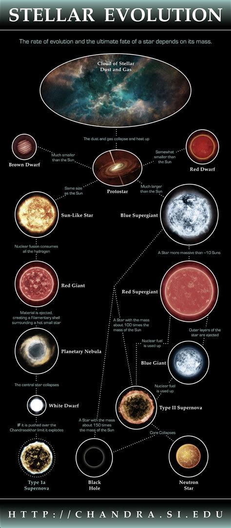 Stellar Evolution Infographic Astronomy Science Astronomy Space Science