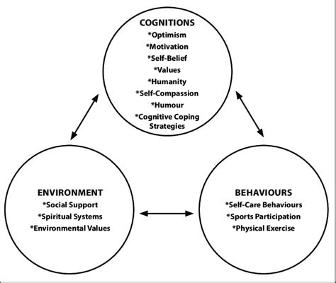 The Three Part Model Of Psychological Resilience Cilt