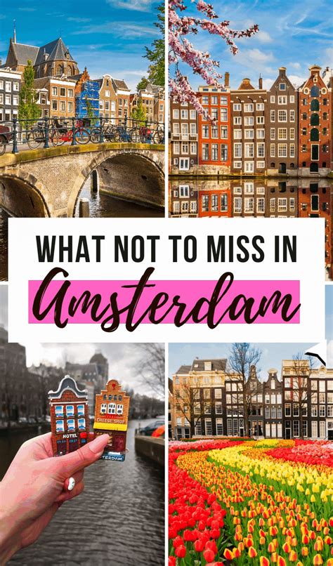 5 things you have to do in amsterdam when you visit the netherlands i what not to miss in