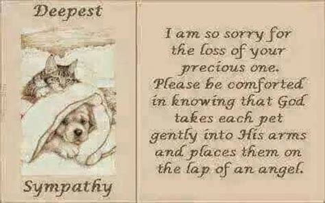 Loss of a pet quotes can offer us a smile or just remind us that we are part of a common if having a soul means being able to feel love and loyalty and gratitude, then animals are better off than a our father in heaven, we thank you for all creation, for flowers of field and garden, for friends and family. 98 best images about Pet prayers and sayings on Pinterest ...