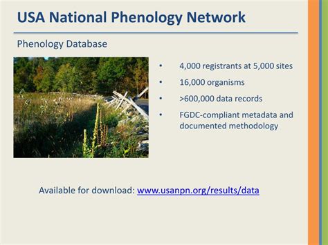 Ppt The Usa Npn Visualization Tool Exploring Phenology Data