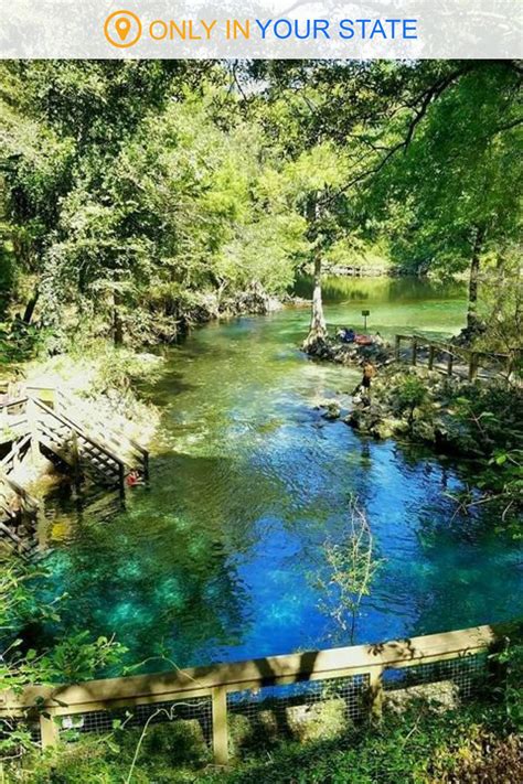 Discover a hidden, secluded swimming hole at Madison Blue Spring State