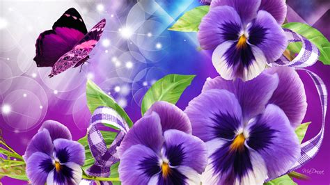 Pansy Wallpaper 58 Images