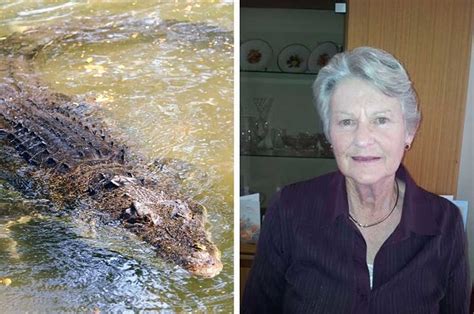 Human Remains Found Inside Crocodile Are Believed To Be Those Of A 79 Year Old Woman