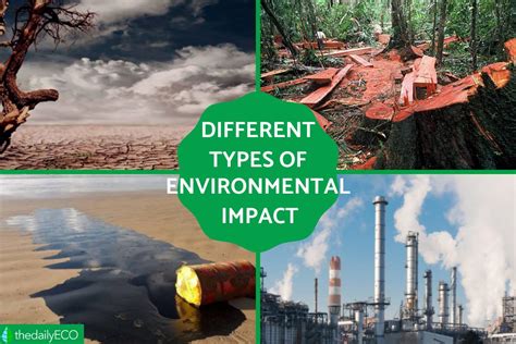 7 Types Of Environmental Impact Summary With Examples And Photos