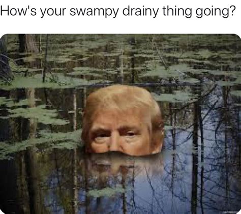 Pin By Lynn Andrews On Memes And Quotes Swamp Creature How To Get Away