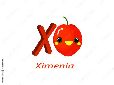 X For Ximenia Alphabet Vector Illustration Fruit And Vegetables Name