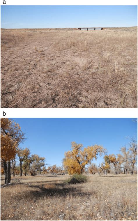 Sample Views Of Shortgrass Prairie Channels In Eastern Colorado A