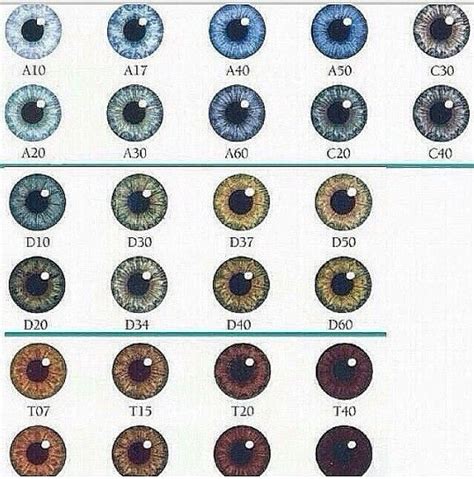 Eye Colors Eye Color Chart Genetics Eye Color Chart Eye Color Facts
