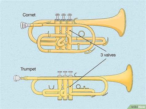 Cornet Vs Trumpet Design Mouthpieces Tone And More