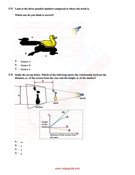 Light Shadow And Reflection Grade 6 Worksheet