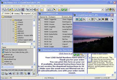File Viewer View Print And Organize Pictures Multimedia Database