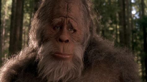 Review Harry And The Hendersons 1987 — 3 Brothers Film