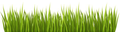 Spring Grass Clipart 20 Free Cliparts Download Images On Clipground 2024