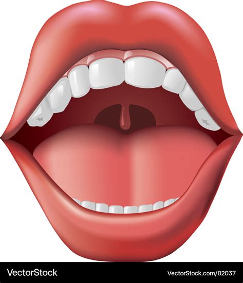Open Mouth Royalty Free Vector Image Vectorstock