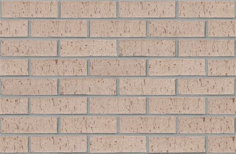 Acme Brick Royal Oak Modular Extruded Buff Light Texture Clay Brick
