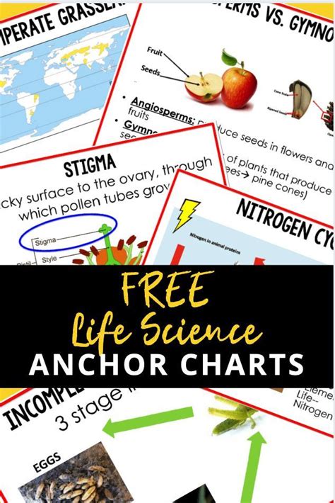 Life Science Anchor Charts Life Science Posters Ell