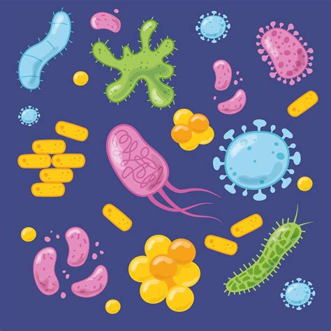 Cartoon Style Virus Bacteria Disease Cells Set 1233657 Vector Art At
