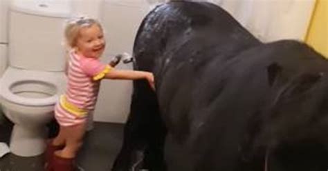 Mała dziewczynka postanawia zaprowadzić kucyka do łazienki by umyć go pod prysznicem Alebeka