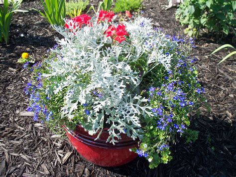 Most of the products' prices listed in a walmart ad are the 'every day low price' for the items. pot from walmart and flowers red,white & blue for Memorial ...