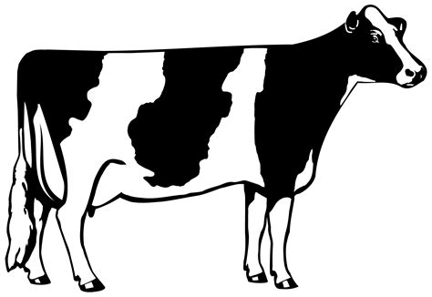 Clip Art Of A Cow Clipart Best