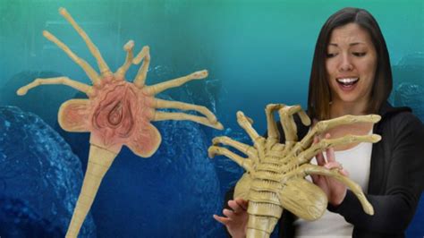 Cozy Up To This Life Size Aliens Facehugger