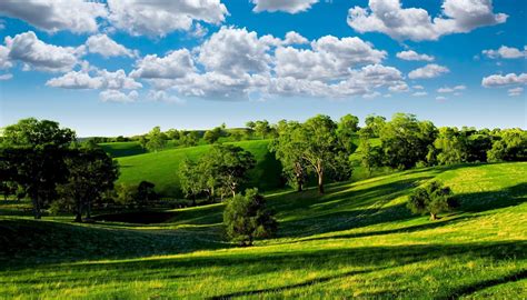 Nature Landscape Hill Trees Wallpapers Hd Desktop And Mobile