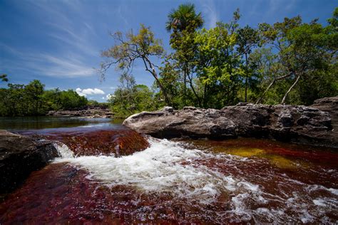 Caño Cristales Wallpapers Backgrounds And More