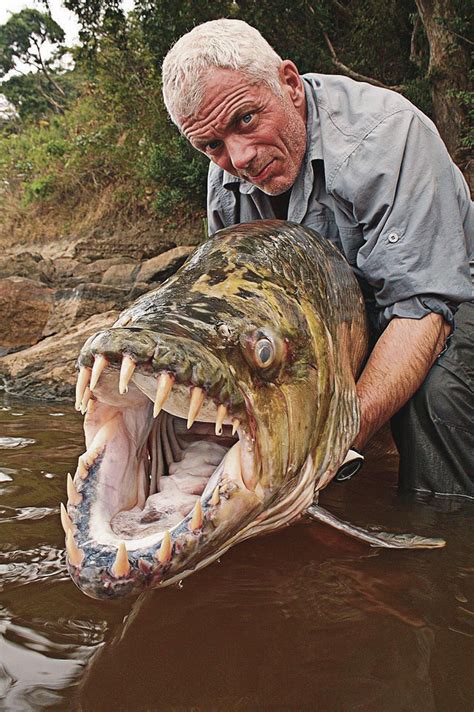 ‘river Monsters Tv Review Ny Daily News