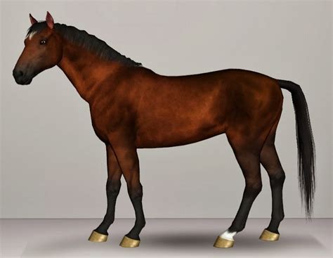 Entertainment World My Sims 3 Blog New Horses By Vermster