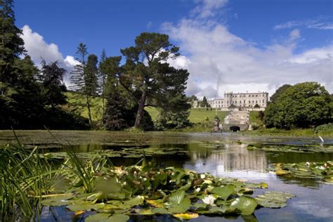 9 Beautiful Gardens In Ireland You Should Visit Soon · Thejournalie