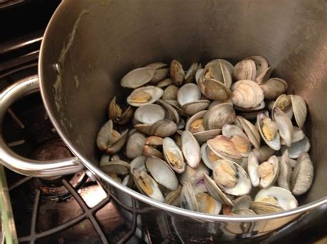 Classic New England Clam Chowder How To Feed A Loon
