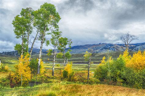 Yellowstone National Park Fall 2019 Part 1 Stephen Hung Photography