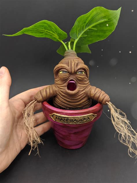 Mandrake In A Magenta Flower Pot Screaming Mandrake Crying Etsy