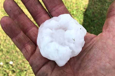 Violent Storms Lash Sydney Giant Sized Hailstones Pelt Down Across The