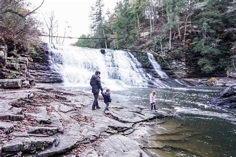 A Day Trip To Fall Creek Falls Evado Travel